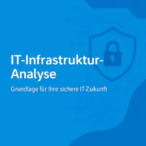 benus-it-infrastrukturanalyse